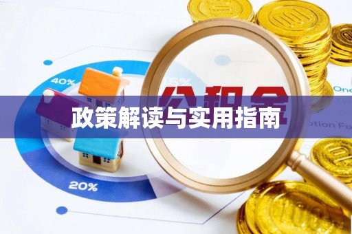 石岐政策解读与实用指南