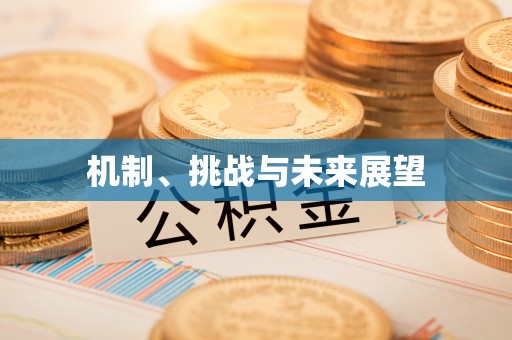 石岐机制、挑战与未来展望